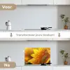 Zonnebloem - Dauwdruppels - Geel - Zonlicht keuken achterwand spatscherm klein -voor_na_NL