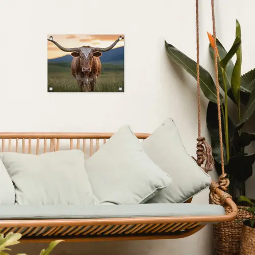 Longhorn - Landschap - Zonsondergang tuinposter los doek klein -sfeer7
