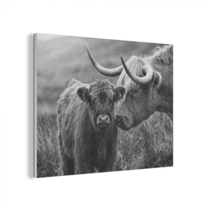 Schotse hooglander - Kalf - Zwart - Wit PET vilt klein -3d