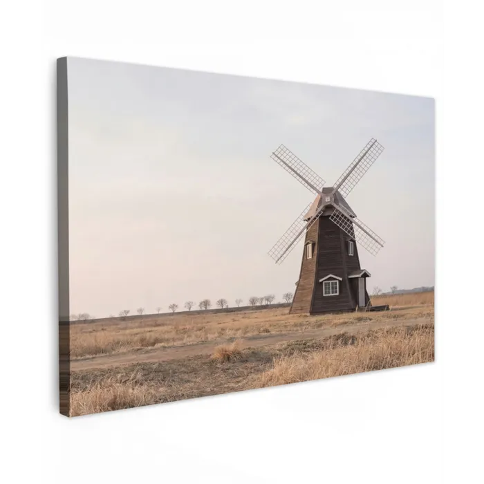 Windmolens - Landschap - Veld canvas 2cm klein -z3d