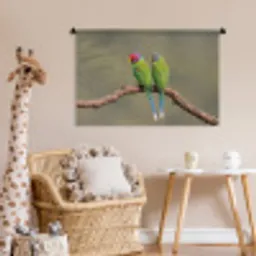 Papagaai - Tak - Natuur - Kleurrijk Wandkleed katoen middel -wsfeer5_kind
