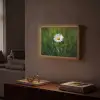 Wit - Madeliefje - Bloem - Gras Light Box met batterij (Wandlamp) middel -sfeer1