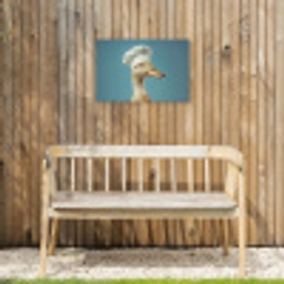 Eend - Koksmuts - Cute - Vogel Tuinposter op houten frame 2 cm dik klein -sfeer4