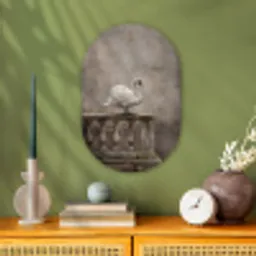 Zwaan - Elegant - Dieren - Wit Wandcirkel Ovaal Forex klein -sfeer2