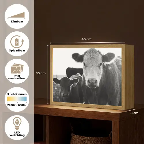 Koeien - Zwart - Wit Light Box met batterij (Wandlamp) middel -USP_websiteoverzichtNL