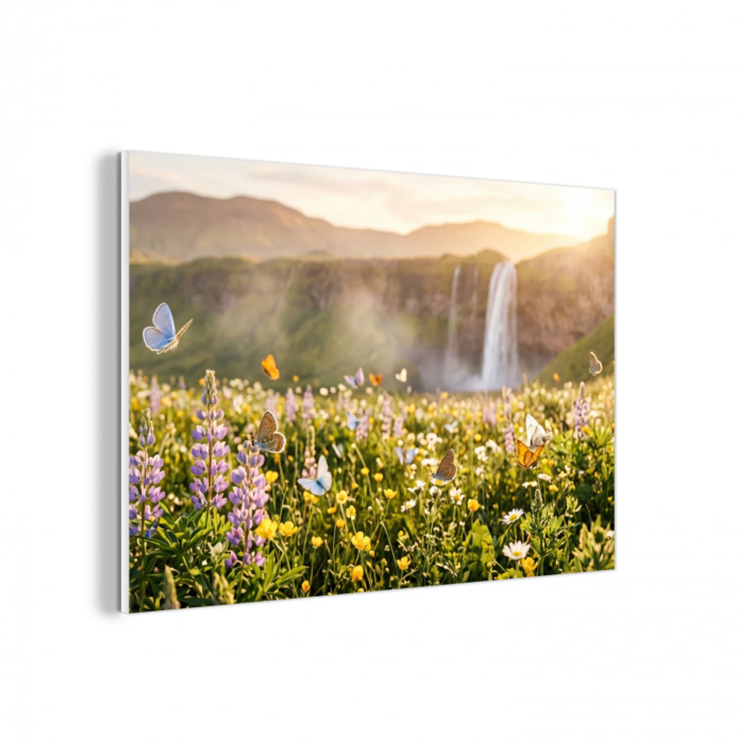 Vlinders - Waterval - Bloemenveld forex 5mm xxl -3d