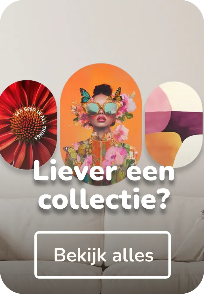 muurovaal collecties