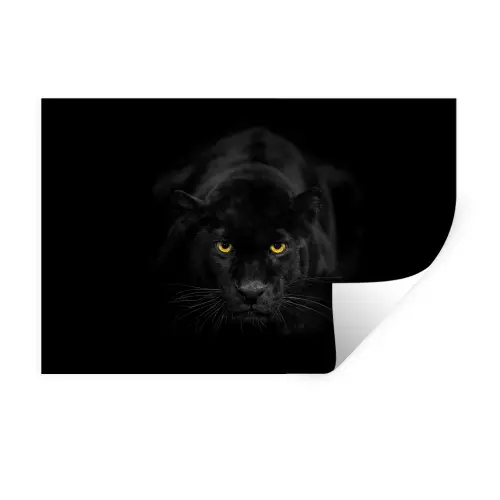 Panter - Dieren - Zwart - Ogen Muursticker klein -3d