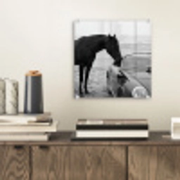 Paard - Auto - Zwart - Wit plexiglas 5mm klein -sfeer1