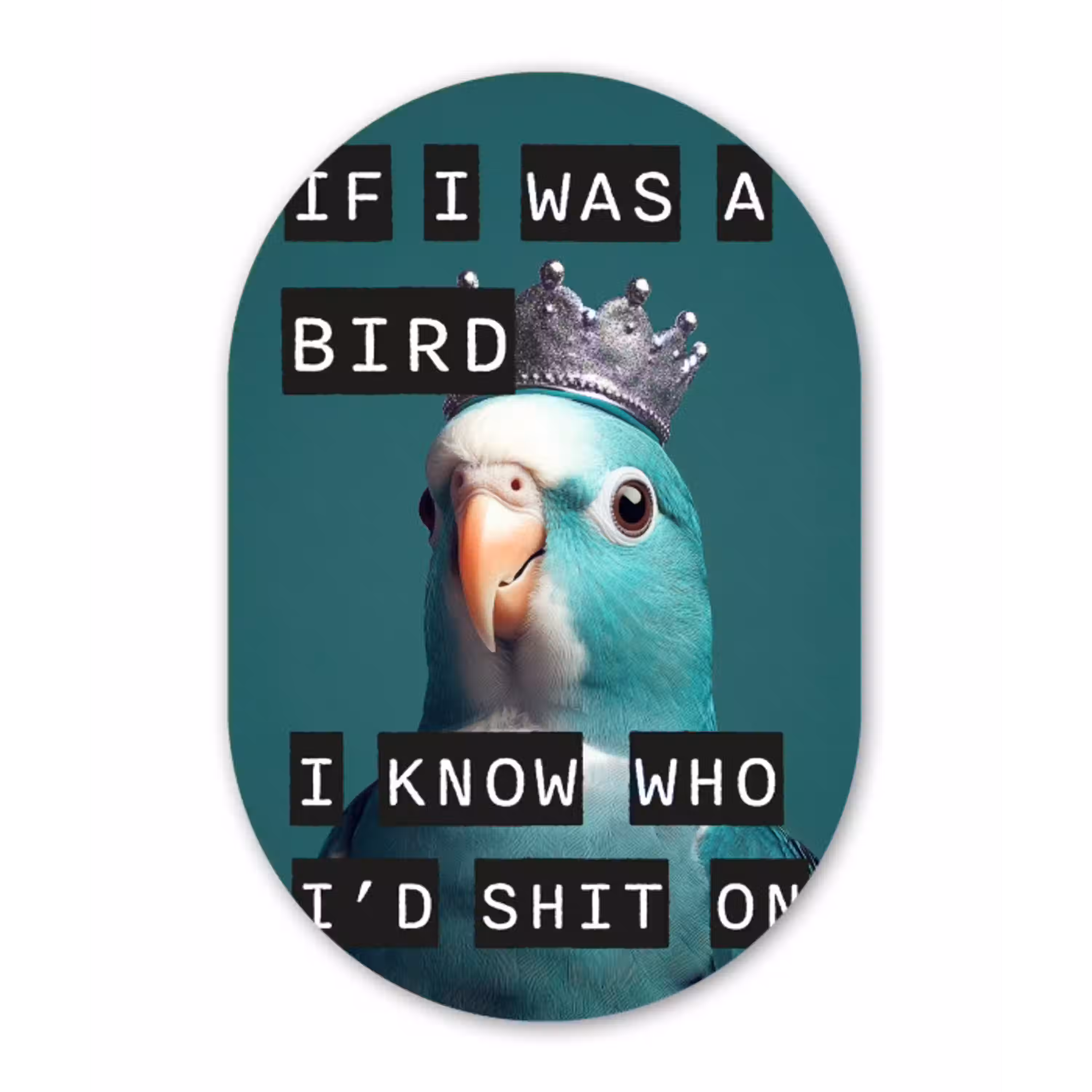 Parkiet - Turquoise - Quotes - Decoratie Wandcirkel Ovaal Aluminium middel -3d