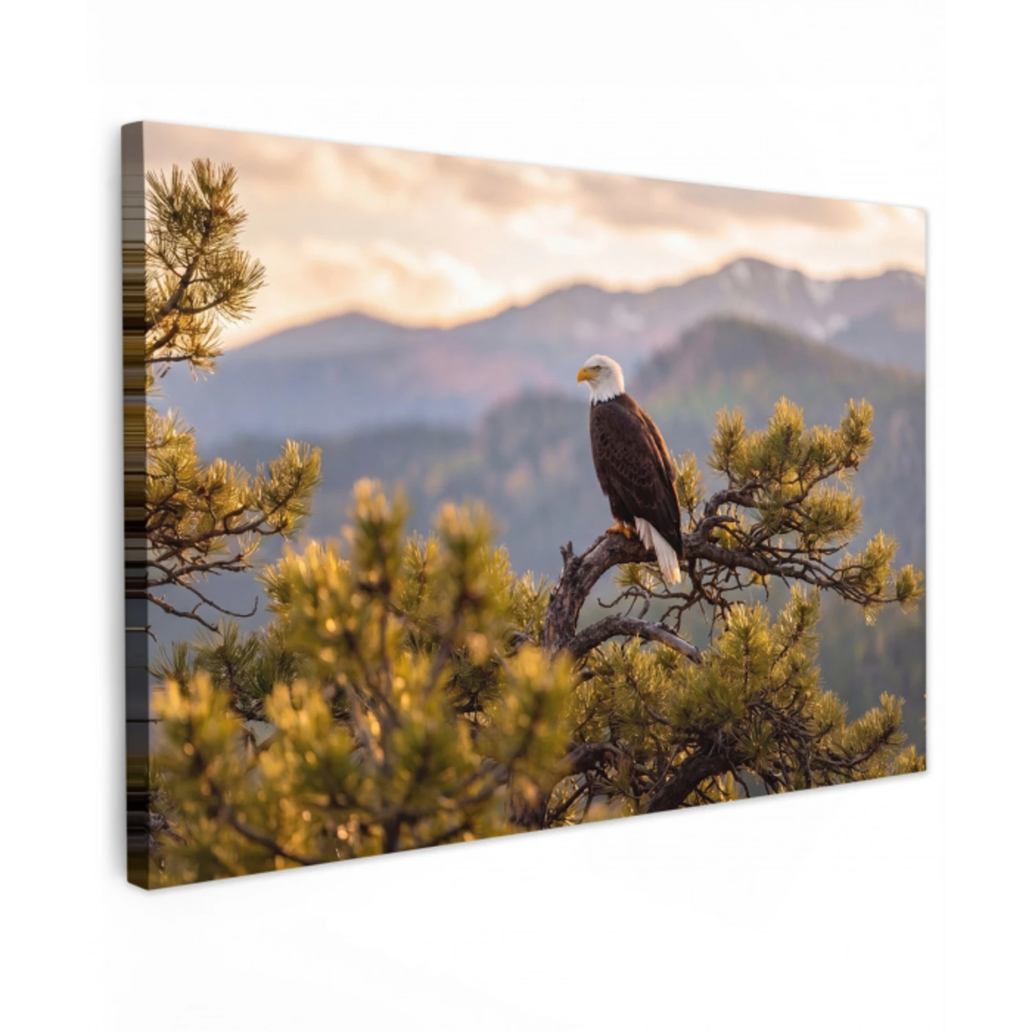 Zeearend - Boom - Bergen - Groen canvas 2cm klein -z3d