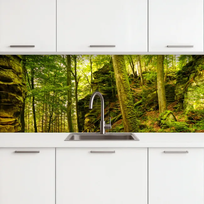 Küchenrückwand - Bäume - Stein - Wald - Natur - Pflanzen