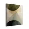 Vlakken - Abstract - Beige - Cirkels aluminium wit klein -3d