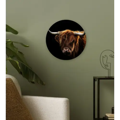 Schotse Hooglander - Horens - Zwart - Dieren - Natuur - Wild - Koe Wandcirkel kunststof plaat 5mm dik klein -sfeer3