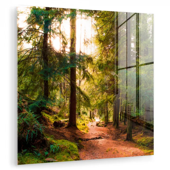 Bos - Pad - Bomen - Groen - Zon - Natuur plexiglas 5mm klein -zzzproduct_nieuw