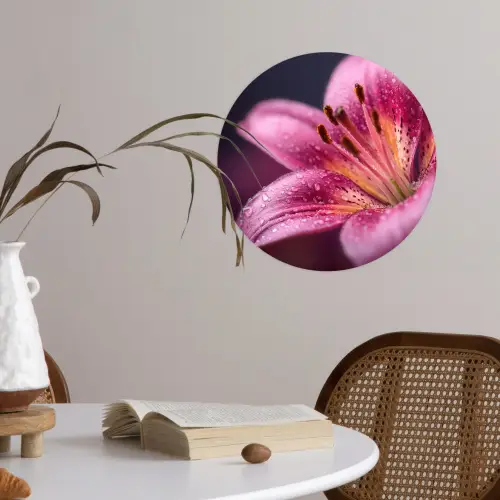 Roze - lelie - Dauwdruppels Wandcirkel behangsticker klein -sfeer3