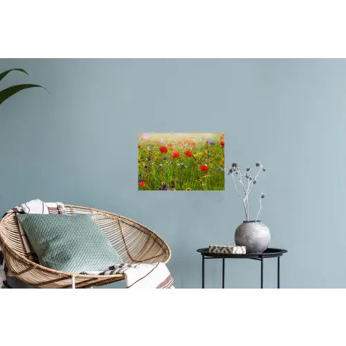 Lente - Bloemen - Rood - Klaproos - Gras - Groen Muursticker klein -plant