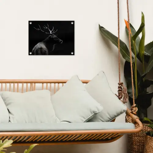 Hert - Zwart - Portret - Gewei - Dieren tuinposter los doek klein -sfeer7