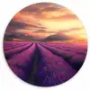 Lavendelveld - Zonsondergang - Paars Wandcirkel kunststof plaat 5mm dik klein -3d