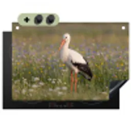 Ooienvaar - Bloemen - Weide - Kleurrijk Inductie beschemer met haakjes klein -3d