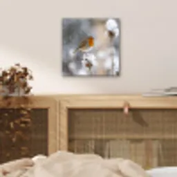 Roodborstje - Gedroogde bloem - Sneeuw - Winter - Vertederend aluminium wit klein -sfeer3