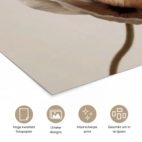 Bloem - Beige - Crème poster papier klein -closeup_NL