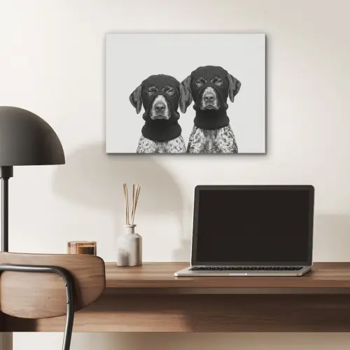 Honden - Bivakmuts - Zwart - wit PET vilt klein -sfeer5