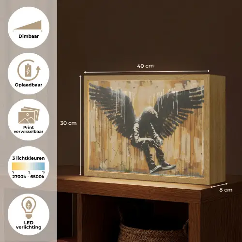 Graffiti - Kunst - Vleugels - Street art - Banksy Style Light Box met batterij (Wandlamp) middel -USP_websiteoverzichtNL