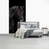 Paard - Dieren - Zwart - Portret fotobehang vinyl groot -slaapkamer