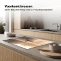 Eenden - Water - Mist - Natuur Inductie beschermer vinyl 3mm klein -sfeer1