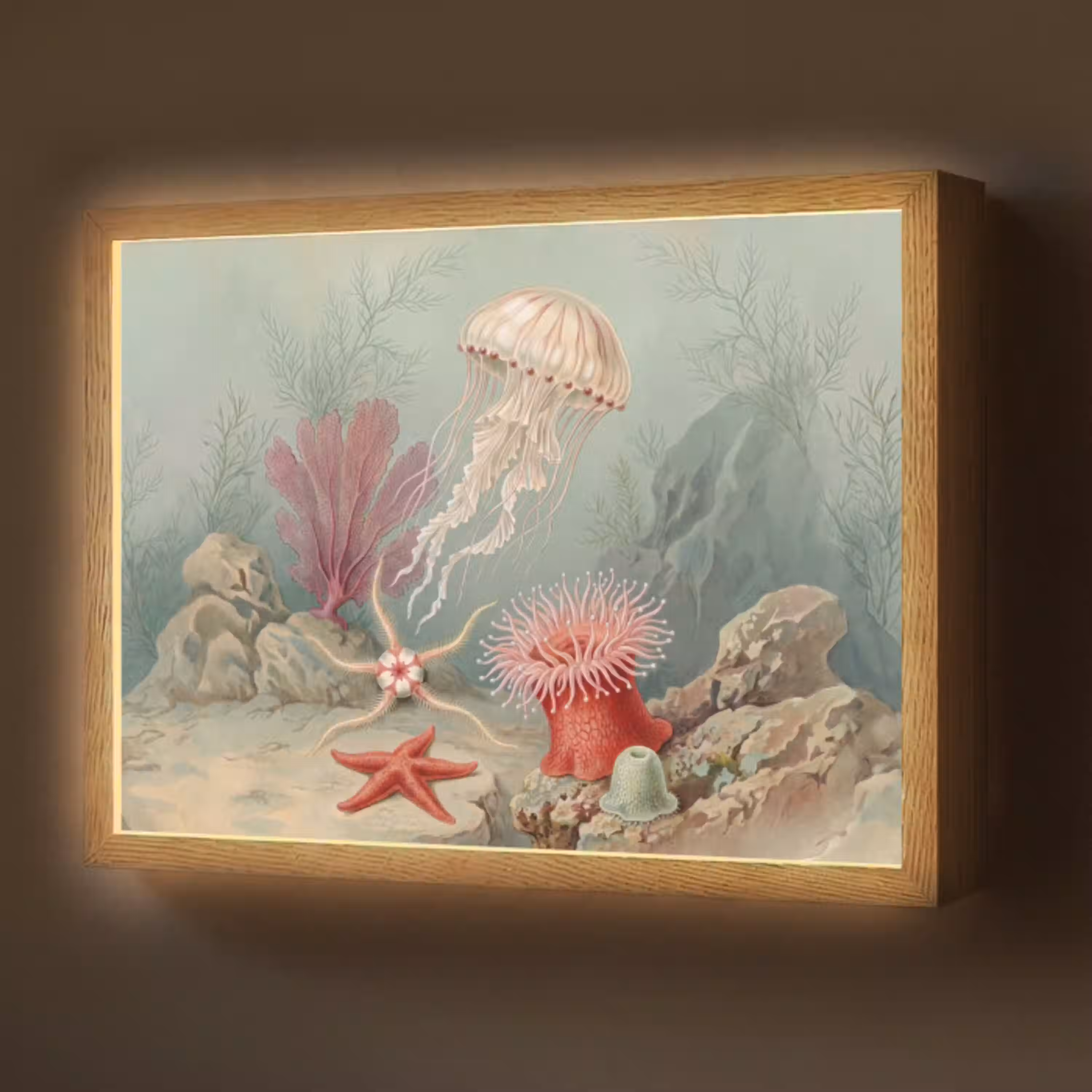 Zeeleven - Kwal - Onderwater - Illustratie - Beige Light Box met batterij (Wandlamp) middel -z3d_website