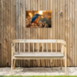 IJsvogel - Herfst - Vogels - Zon - Natuur - Herfsttakken Tuinposter op houten frame 2 cm dik klein -sfeer4