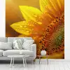 Zonnebloem - Dauwdruppels - Geel - Zonlicht fotobehang vinyl groot -woonkamer