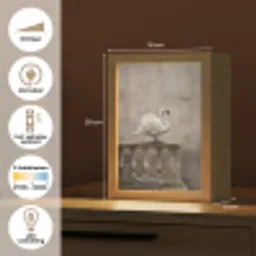 Zwaan - Elegant - Dieren - Wit Light Box met kabel (Kinderlampje) klein -USP_NL