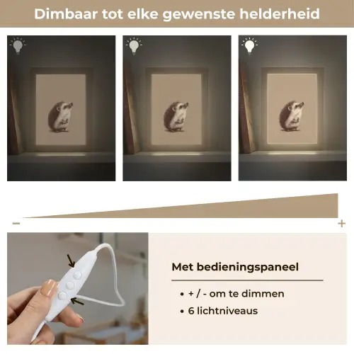 Egel - Snuitje - Bruin - Stekels Light Box met kabel klein -USP_dimbaarNL