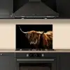Schotse Hooglander - Horens - Zwart - Dieren - Natuur - Wild - Koe keuken achterwand spatscherm klein -sfeer1