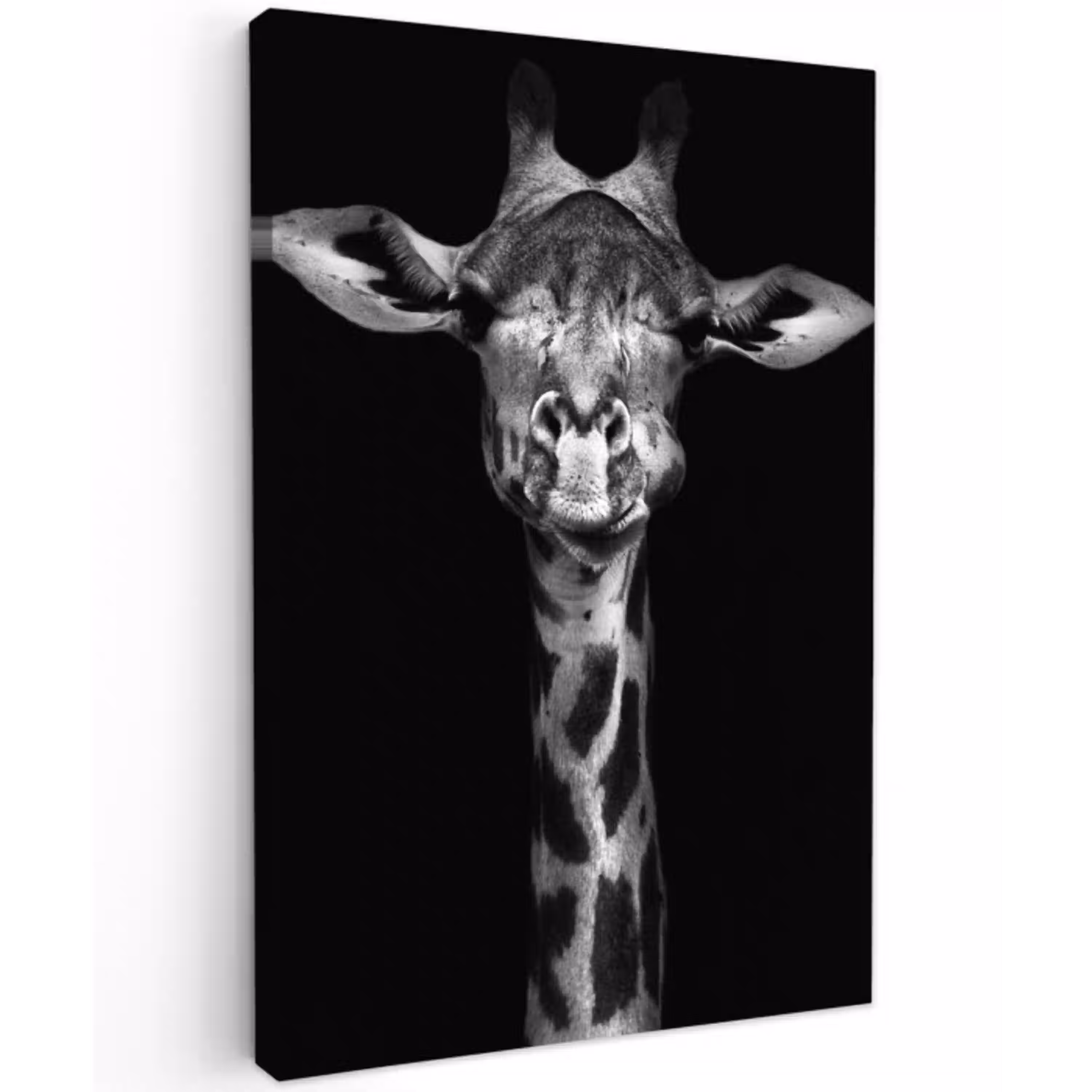 Zwart-wit portret van een giraffe Tuinposter op houten frame 2 cm dik klein -3d