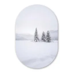 Fijnsparren - Sneeuw - Winter - Landschap - Stilte Wandcirkel Ovaal Aluminium middel -3d