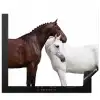 Paard - Modern - Balans Inductie beschermer vinyl 3mm middel -3d