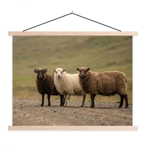 Schapen - Bruin - Wit - Grindpad textielposter latten blank klein -3d