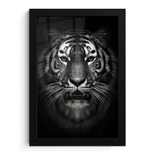 Tijger - Dieren - Zwart - Wit - Portret - Wild fotolijst zwart zonder passe partout klein -3d