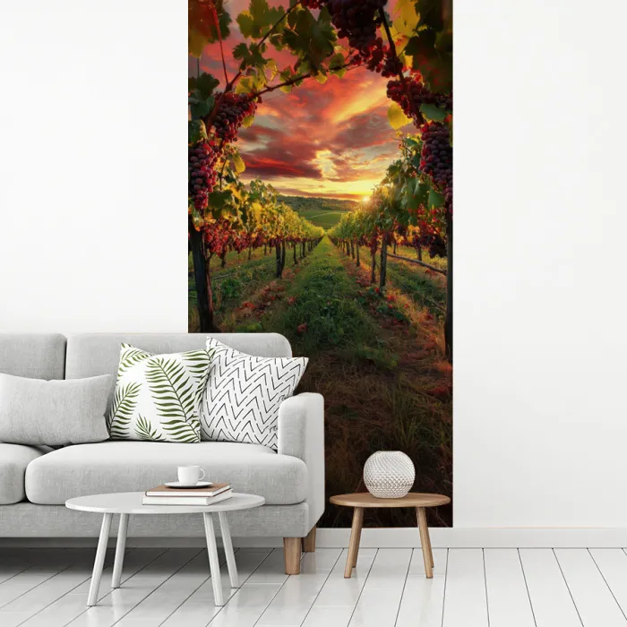 Wijngaard - Druiven - Zonsondergang fotobehang vinyl groot -woonkamer