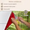 Zon - Bos - Bomen - Natuur - Herfst keuken achterwand spatscherm klein -spatscherm_FR