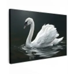 Zwaan - Water - Natuur - Realistisch - Wit canvas 2cm klein -z3d