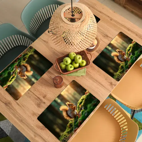 Eekhoorn - Nootje - Gras Placemat vinyl groot -zzsfeer5_Kitchenyeah-website
