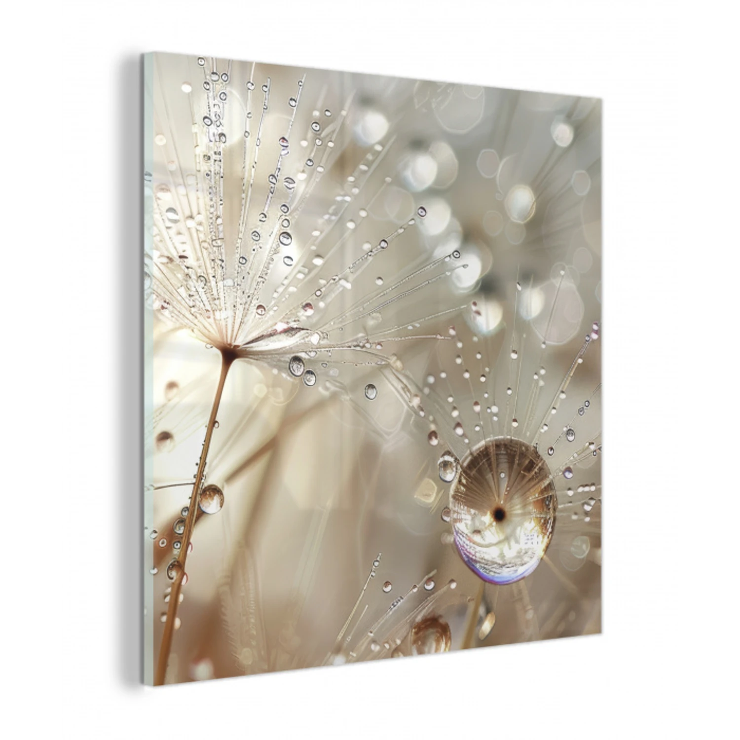 Natuur - Bloemen - Druppels - Regen plexiglas 5mm klein -z3d