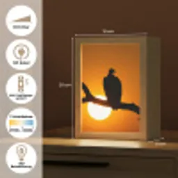 Gier - Tak - Zon - Oranje Light Box met kabel (Kinderlampje) klein -USP_DE