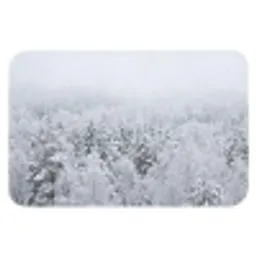 Bos - Sneeuw - Winter - Natuur - Wit Badmat klein -3d