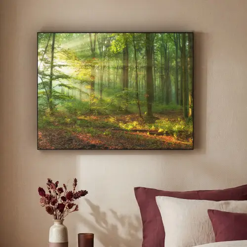 Zon - Bos - Bomen - Natuur - Herfst Textielframe zwart klein -sfeer1