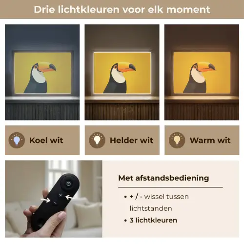 Toekan - Minimalistisch - Snavel - Oranje Light Box met batterij (Wandlamp) middel -USP_lichtkleurNL